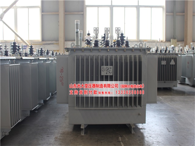 红河S22-4000KVA油浸式变压器